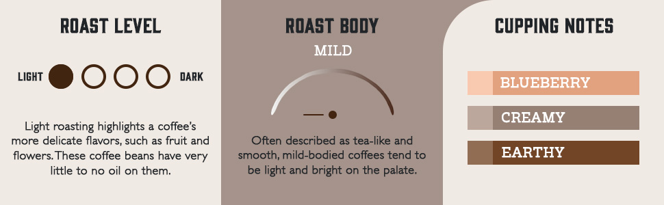 Organic Ethiopian Sidamo profile