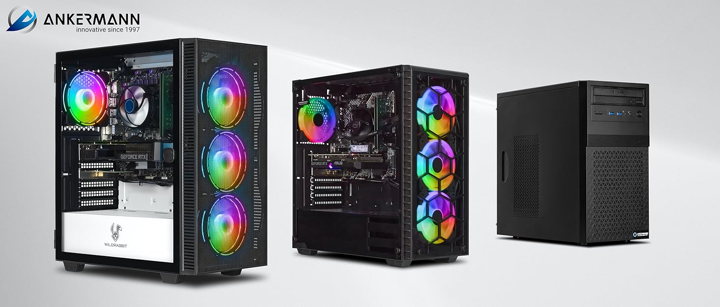 3 Cases