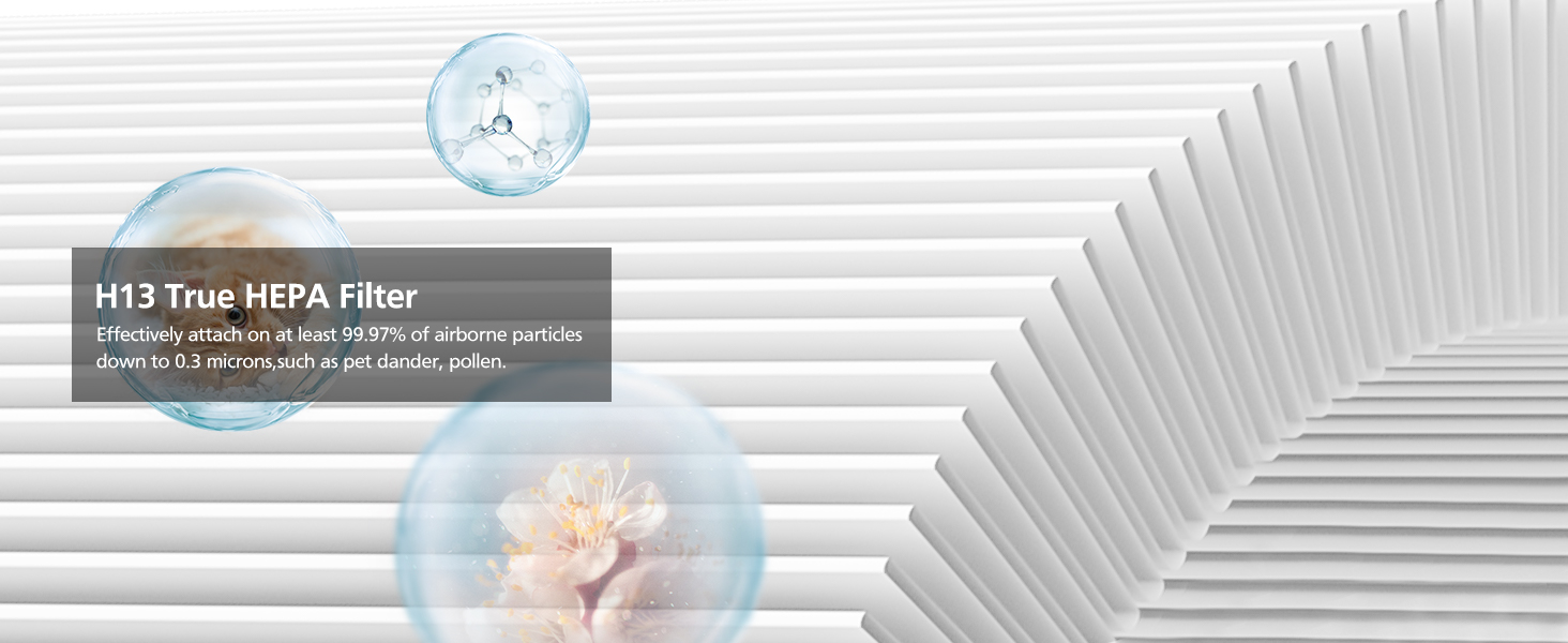 2 Pack True HEPA Replacement Filters ONLY Compatible with