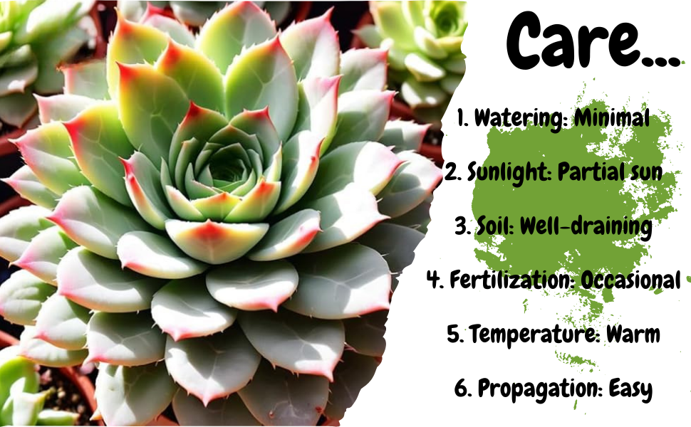 care