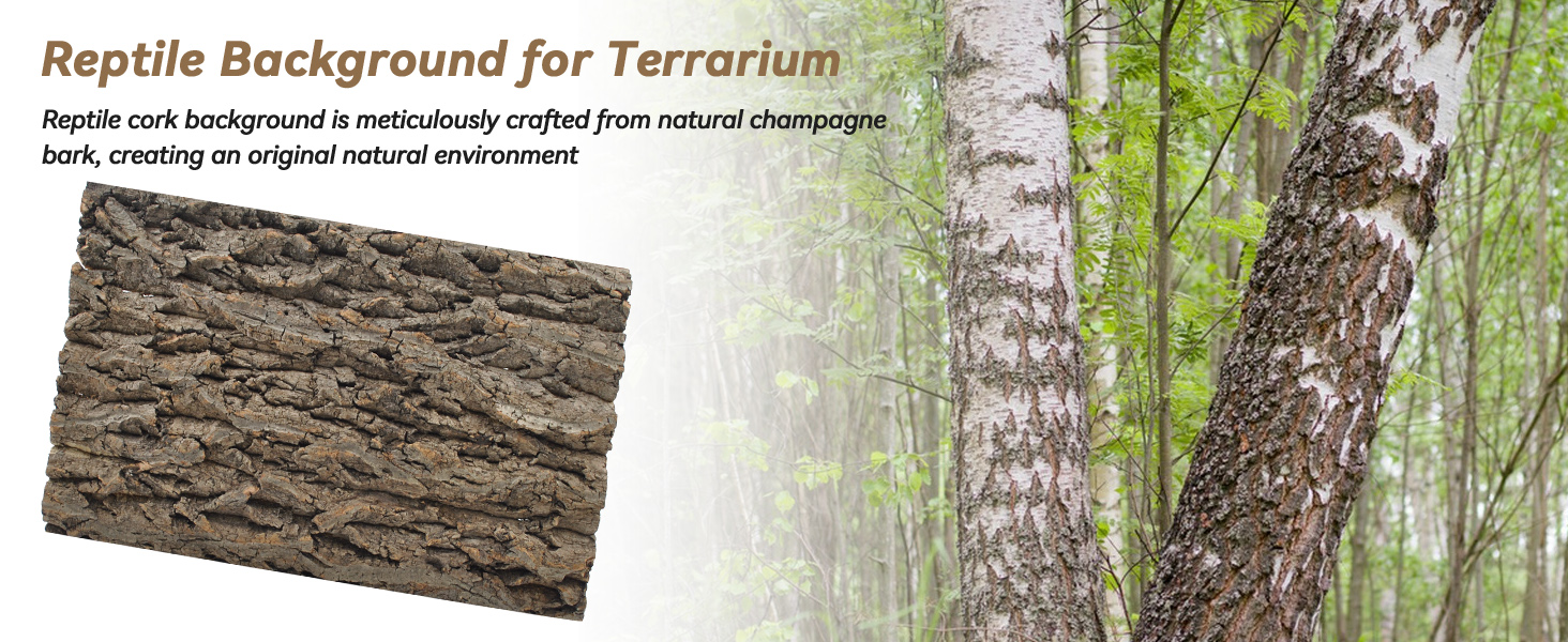Large Bark Backdrop Reptile