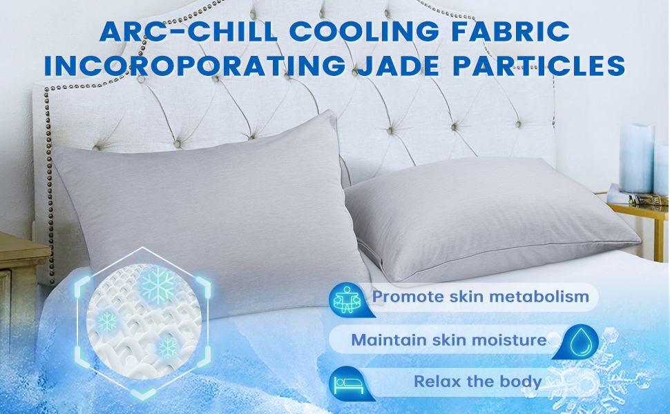 pillow case protector with zipper