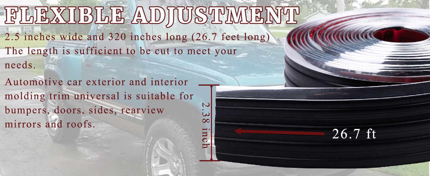 Chrome Side Body Trim Molding 