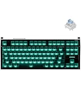 Amazon.com: IQUNIX EZ80 RS Magnetic Switch Hall Effect