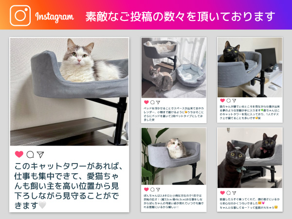 Amazon.co.jp: LOE(ロエ) 新発想 キャットアーム 猫ベッド｜省