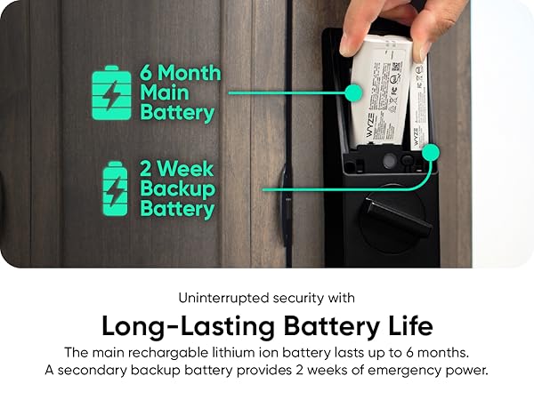 Wyze Palm Lock Battery