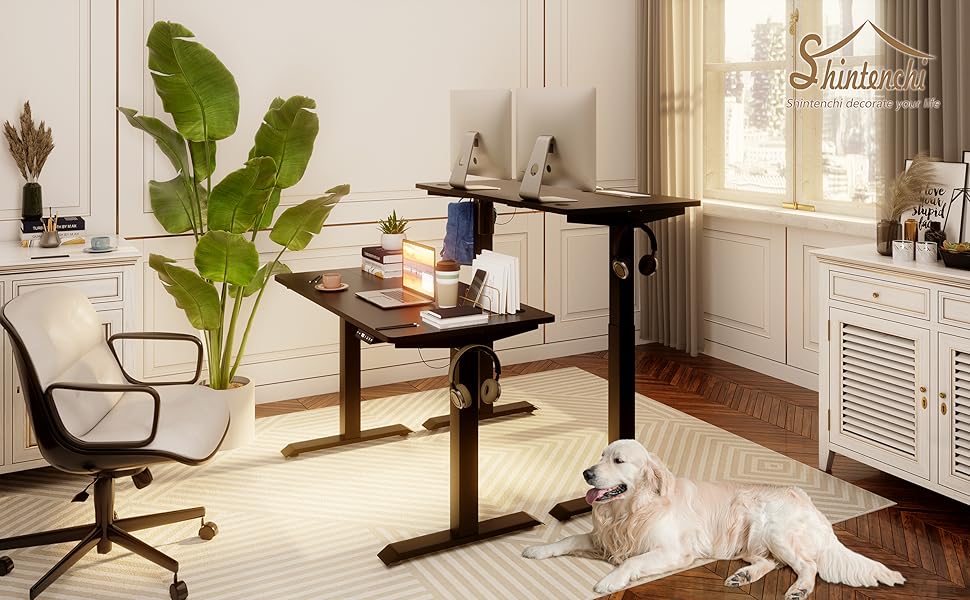 Shintenchi NSJZ Desk, 4824, Black Frame + Black Top : Amazon