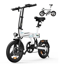 EB1 EBIKE