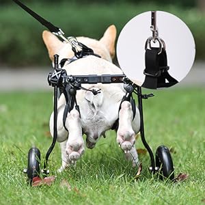 Amazon.co.jp: MIKEART 犬用車椅子 歩行器 車いす 4輪 歩行補助