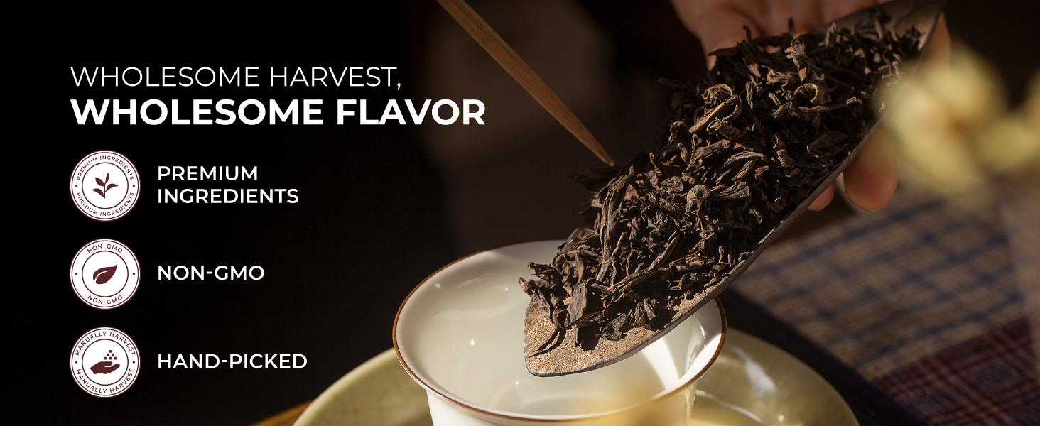 Gya Tea Co Original Chai K Cup Tea Pods for Keurig Highly