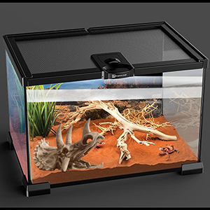 Reptiles Resin Triceratops Skull Hide Decoration