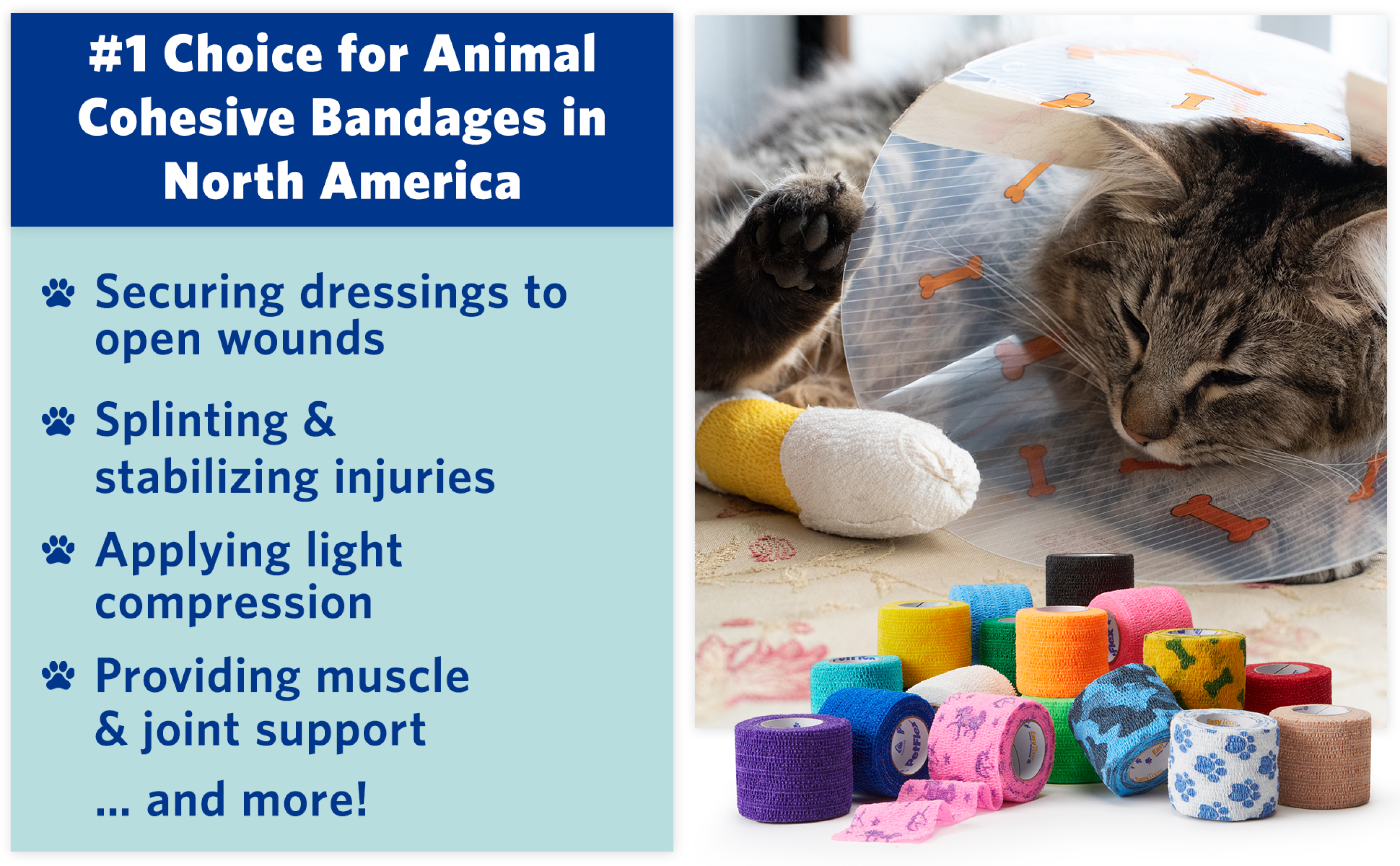 OVIK Health PetFlex No Chew – Flexible Self-Adhering Elastic Bandage for Wound Care – First Aid Wrap for Small Animals Like Dogs, Cats, and Other Pets - 2 inch, 2 Rolls