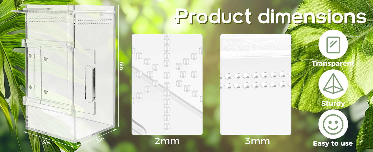 jumping spider enclosure