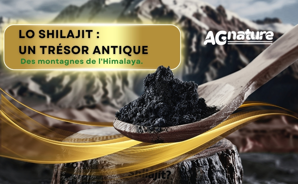 Shilajit Himalayano