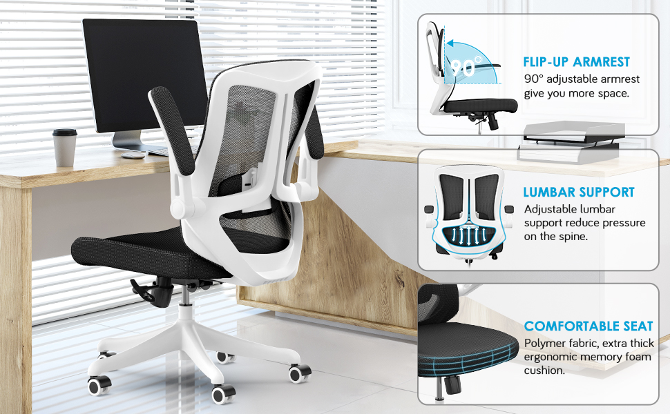 balmstar Office Chair, Ergonomic Desk Chair Home Office