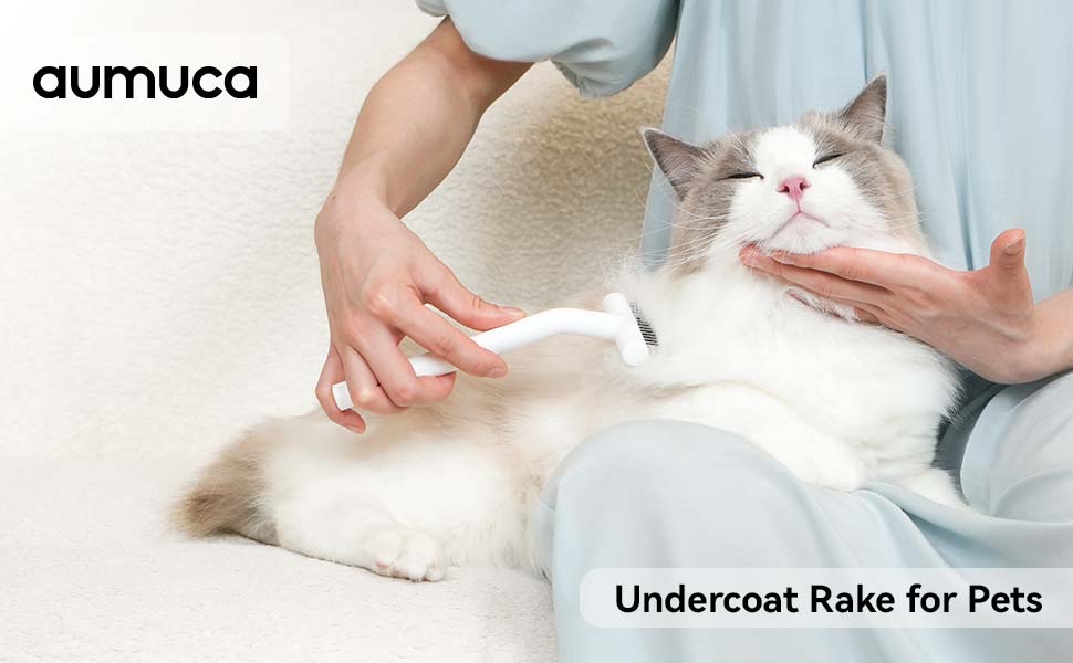 cat brush