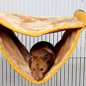 rat toys