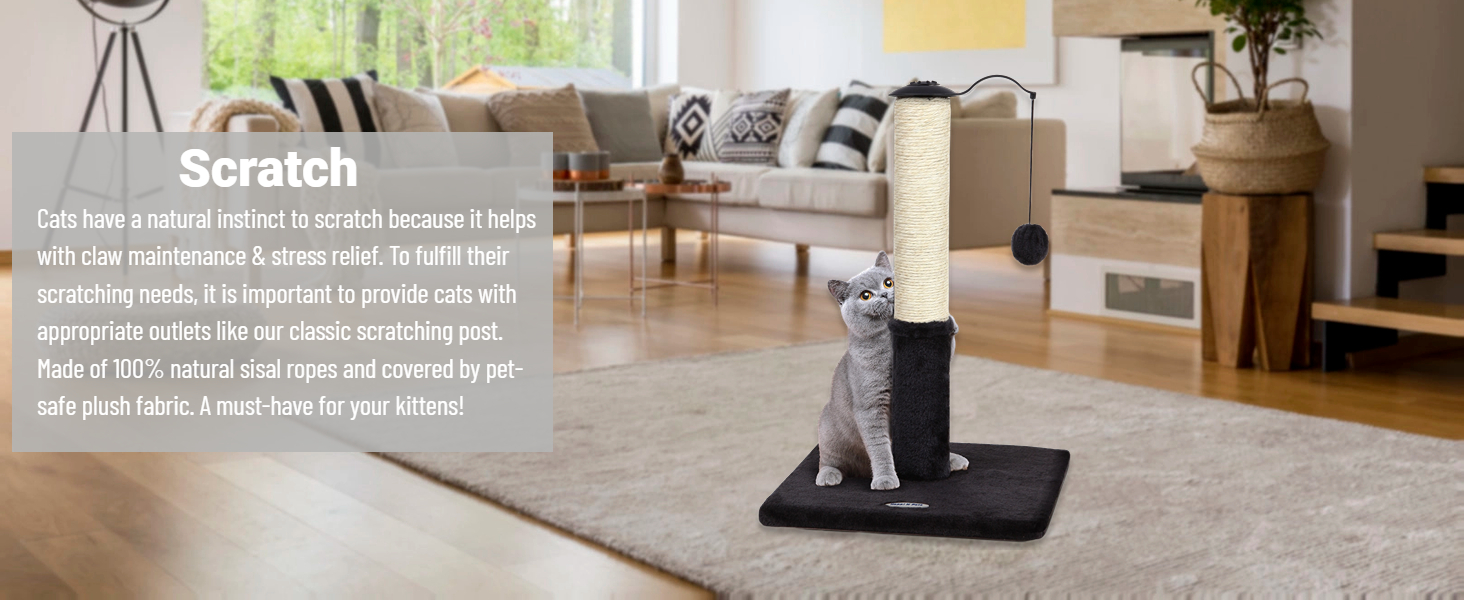 cat scratcher post