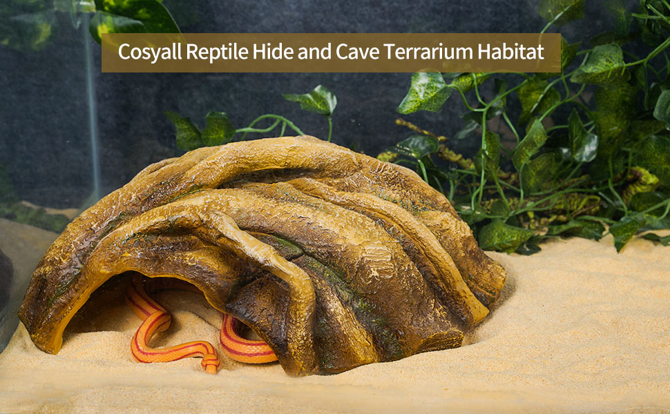 reptile hide and cave