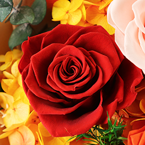 SENJWARM Preserved Flowers, Never Withering, Pink Bouquet