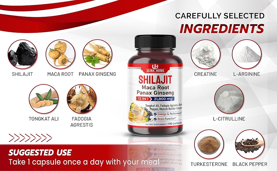 shilajit supplement