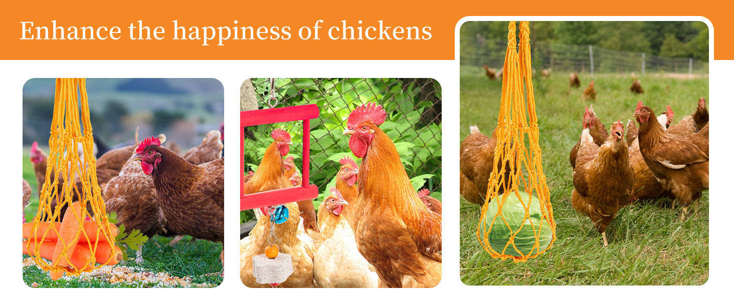 chicken enrichment toys