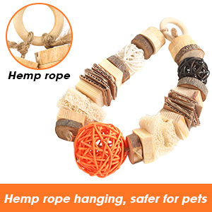 Guinea Pig Toys