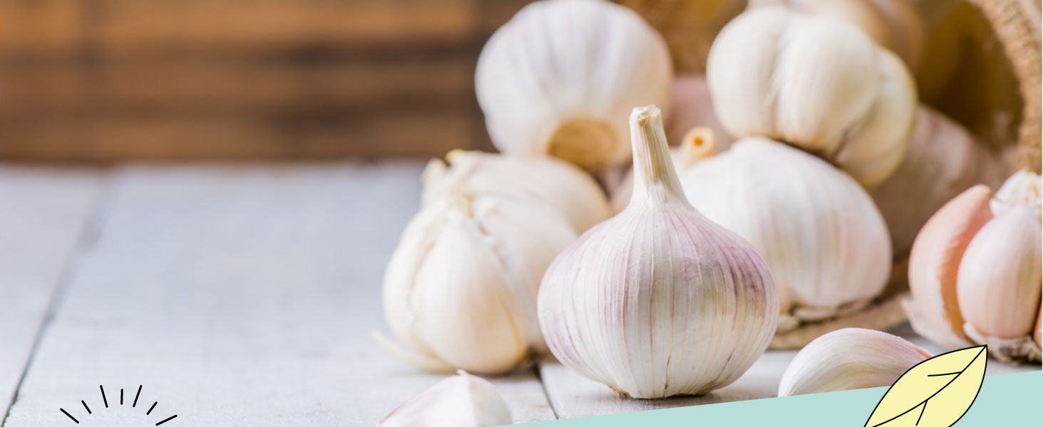 Garlic powder - Alpi Nature