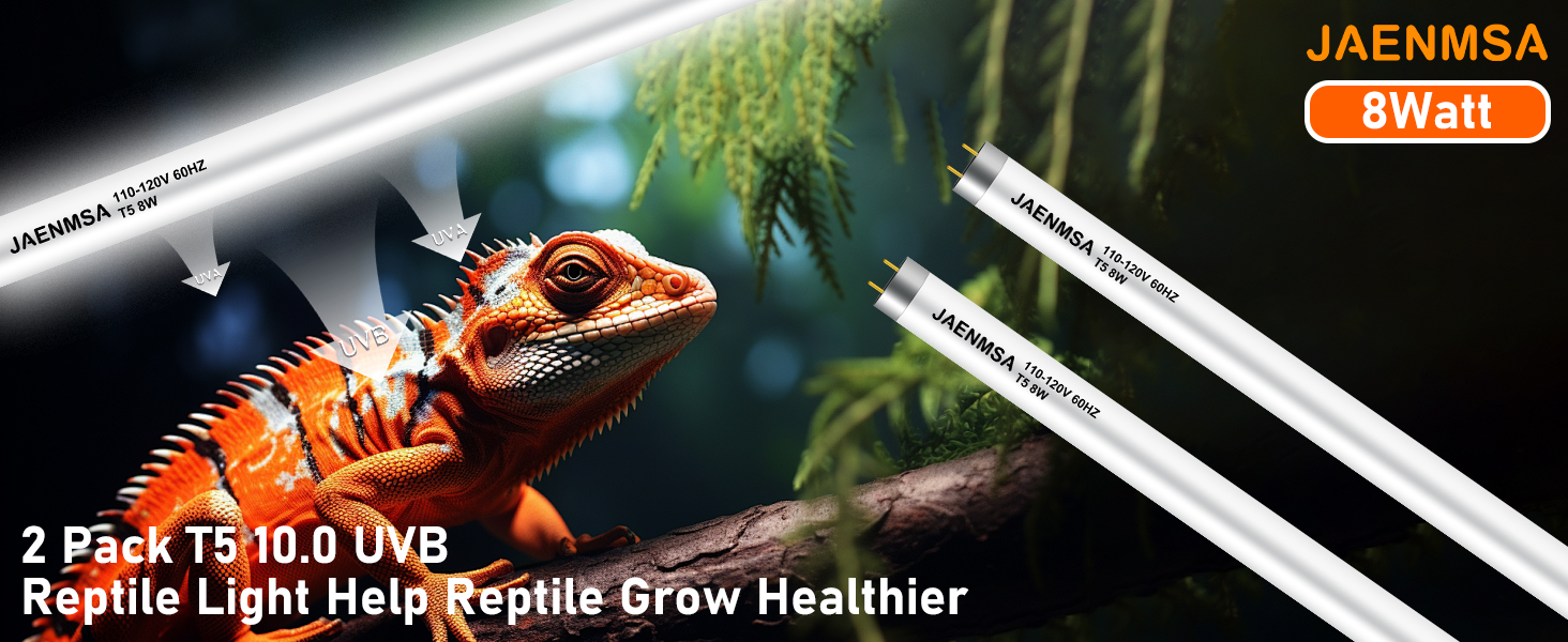 T5 10.0 UVB Reptile Light Bulbs 8W