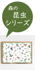 Amazon.co.jp: チアフル舎 【森の昆虫ポスター】 A3 3枚セット