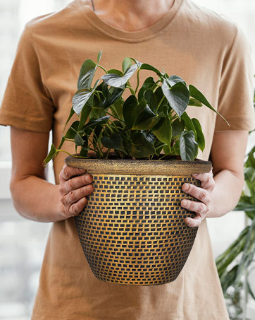 Plant Pot Plant Pots Flower Pots Garden Planter Garden Plastic Planers Large Plant Pots outdoor