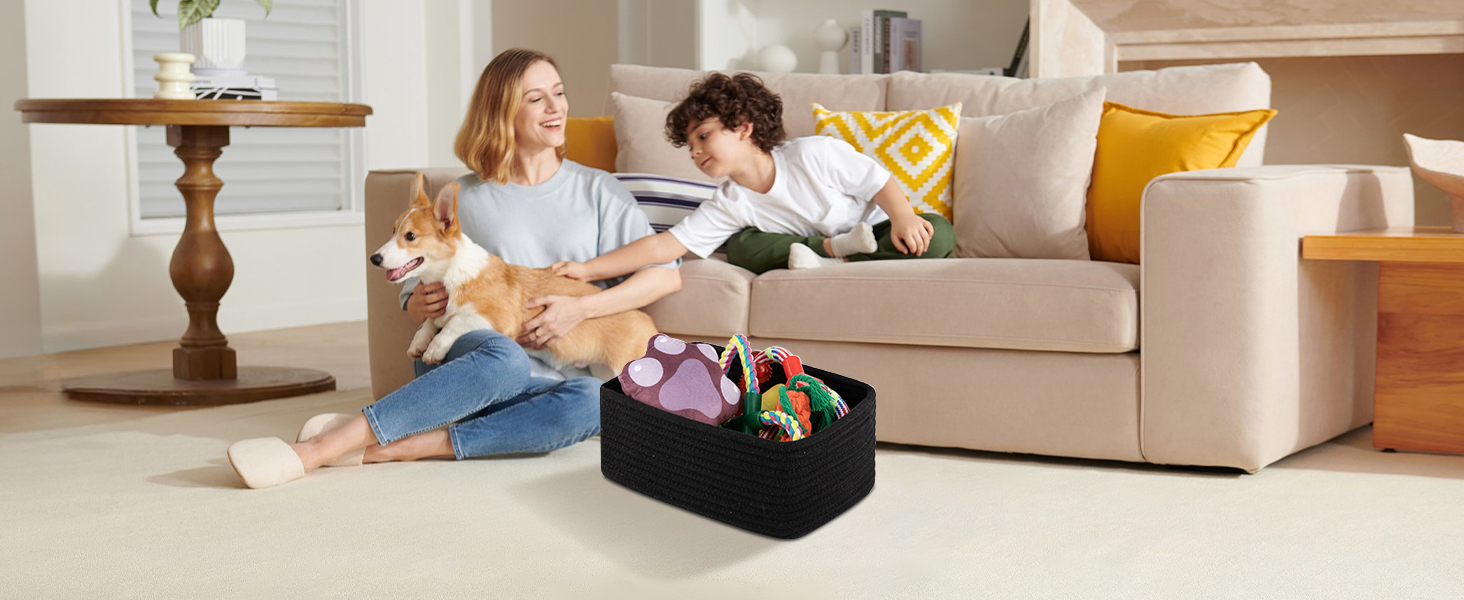 Cat/ Dog Toy Storage Baskets