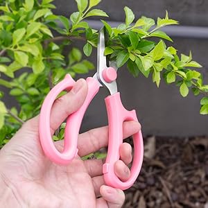 Small manufacture image 7