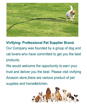 dog training lead