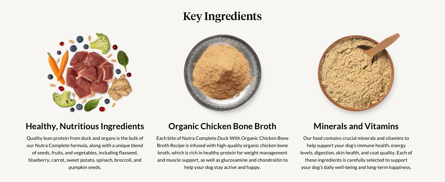 ULTIMATE PET NUTRITION Nutra Complete Bone Broth Infusions