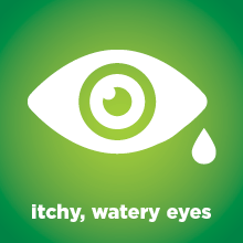 itchy, watery eyes