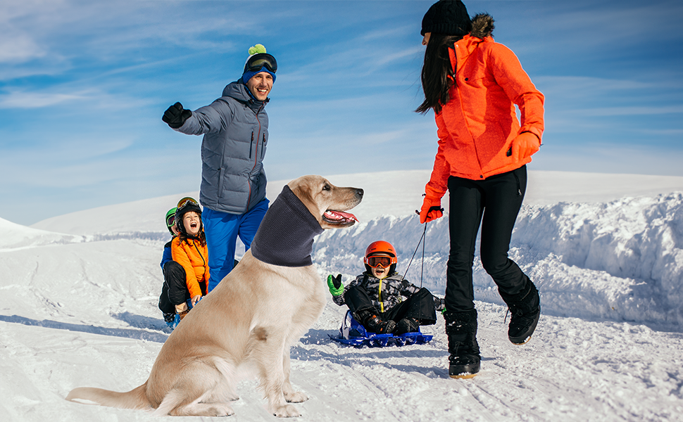 PHYPOBLE Dog Hood for Dogs & Cats, Dog Ear Muffs for Noise