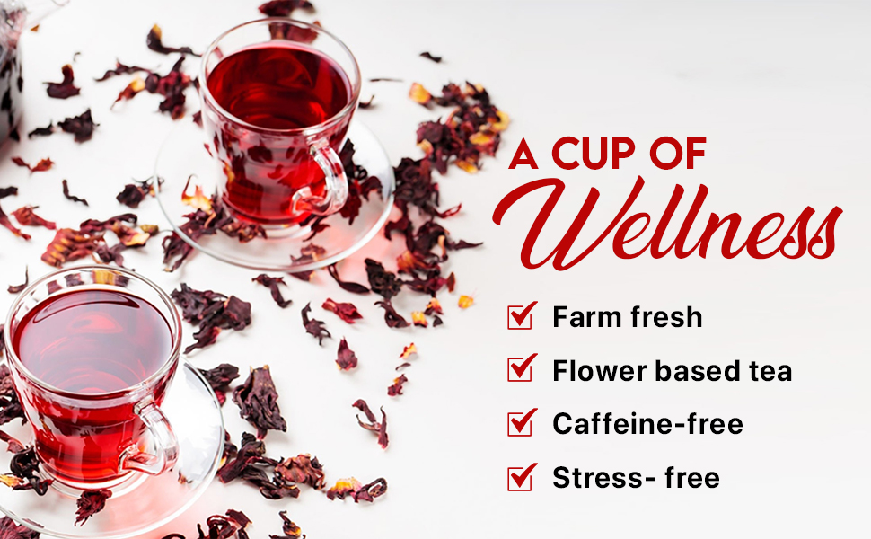 Large manufacture image 6