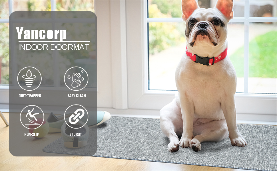 Yancorp Front Door Mat 1/10 Inch Thin Door Mat for Inside