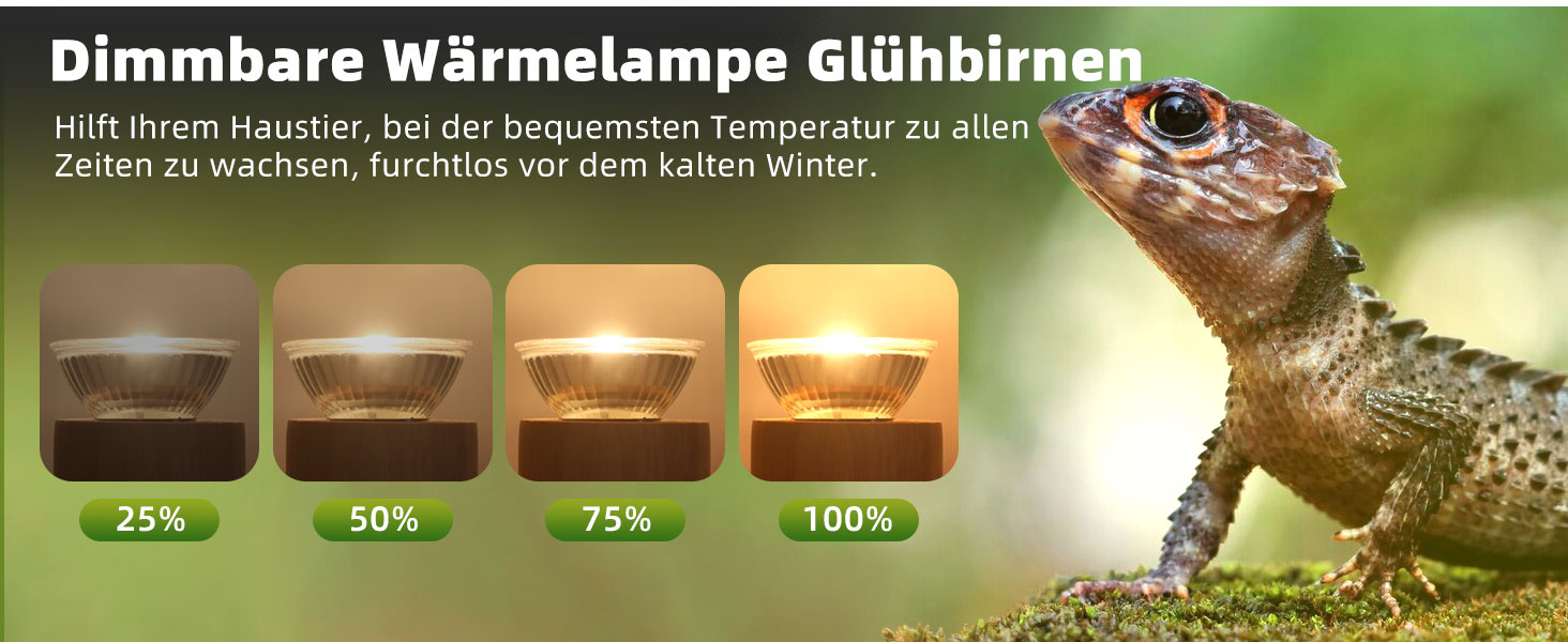 wärmelampe schildkröten