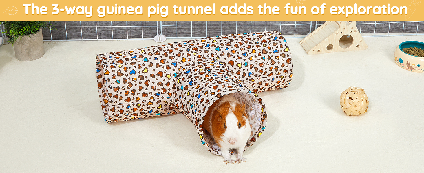 guinea pig toys