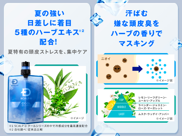Amazon | スカルプD スカルプシャンプー クール メンズ