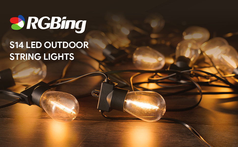 RGBING Outdoor LED String Lights 50FT, S14 Shatterproof Garden String