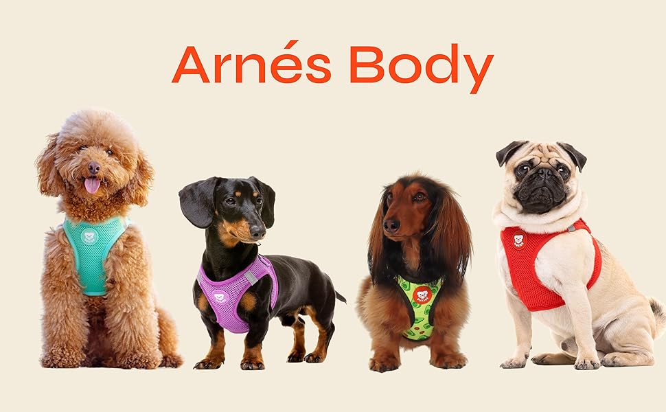 DUKIER - Dog Body Harness, Anti-Pull Body Vest, Adjustable and Heavy Duty for Pets, Breathable Mesh, Pet Accessory with Velcro and Double Closure, Purple, XS 9 Arnés Body para Perro