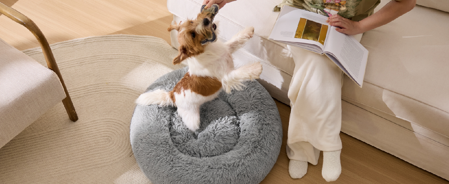 Die Sequenz zeigt einen kleinen Hund oder eine kleine Katze, die mit einem runden, grauen Plüschbett mit erhöhten Kanten interagiert und sich darin ausruht, um Komfort und Benutzerfreundlichkeit zu demonstrieren.