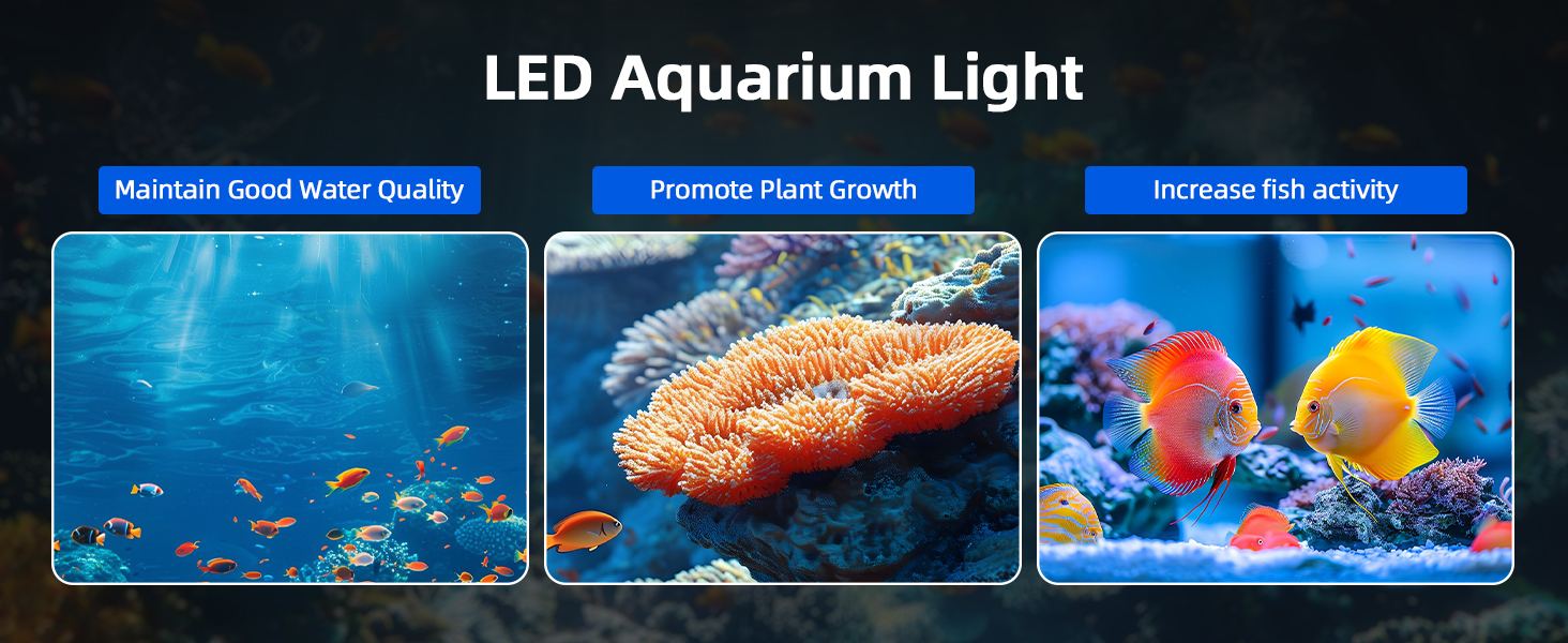 fish tank light