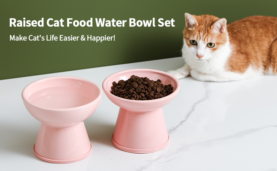 Cat Food Water Bowl Set Raised Cat Bowl with Non Slip Strip Ceramic