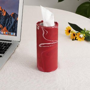 Car Tissue Holder