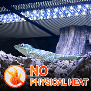 No Physical Heat