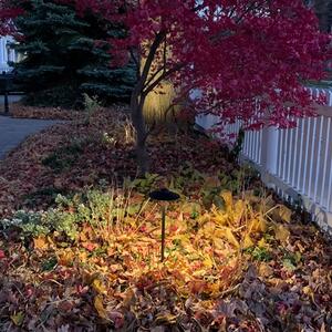 Walkway Lighting